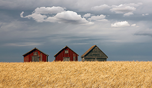 Three Barns